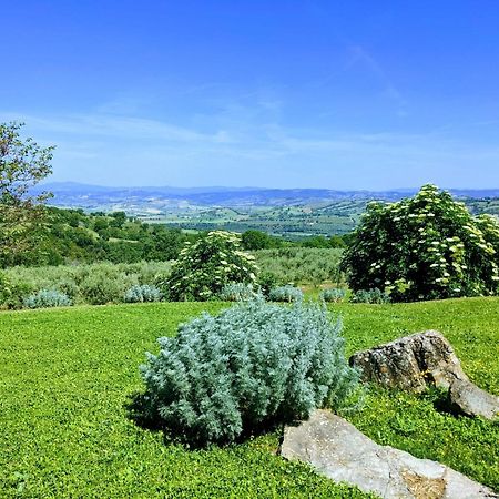 Agriturismo Podere Prataccio Grosseto Extérieur photo