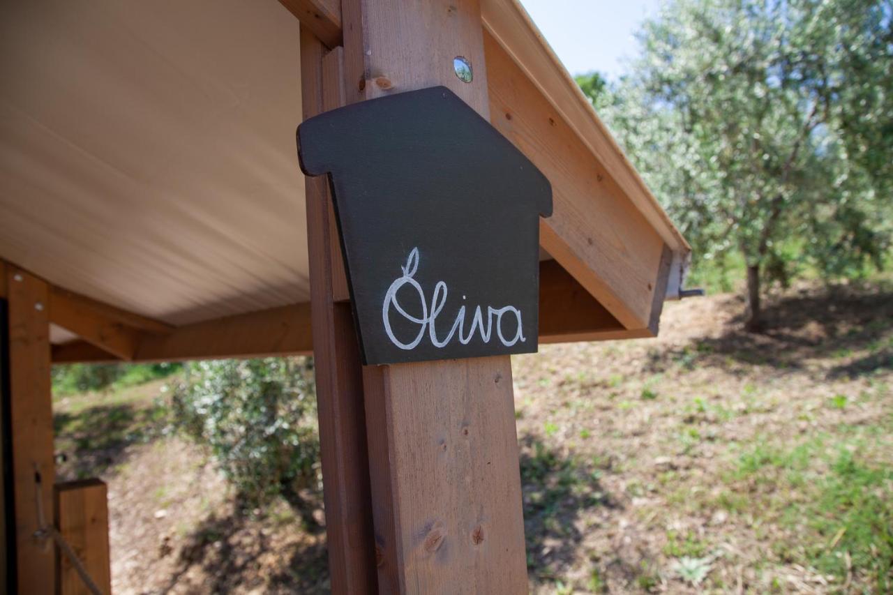 Agriturismo Podere Prataccio Grosseto Extérieur photo