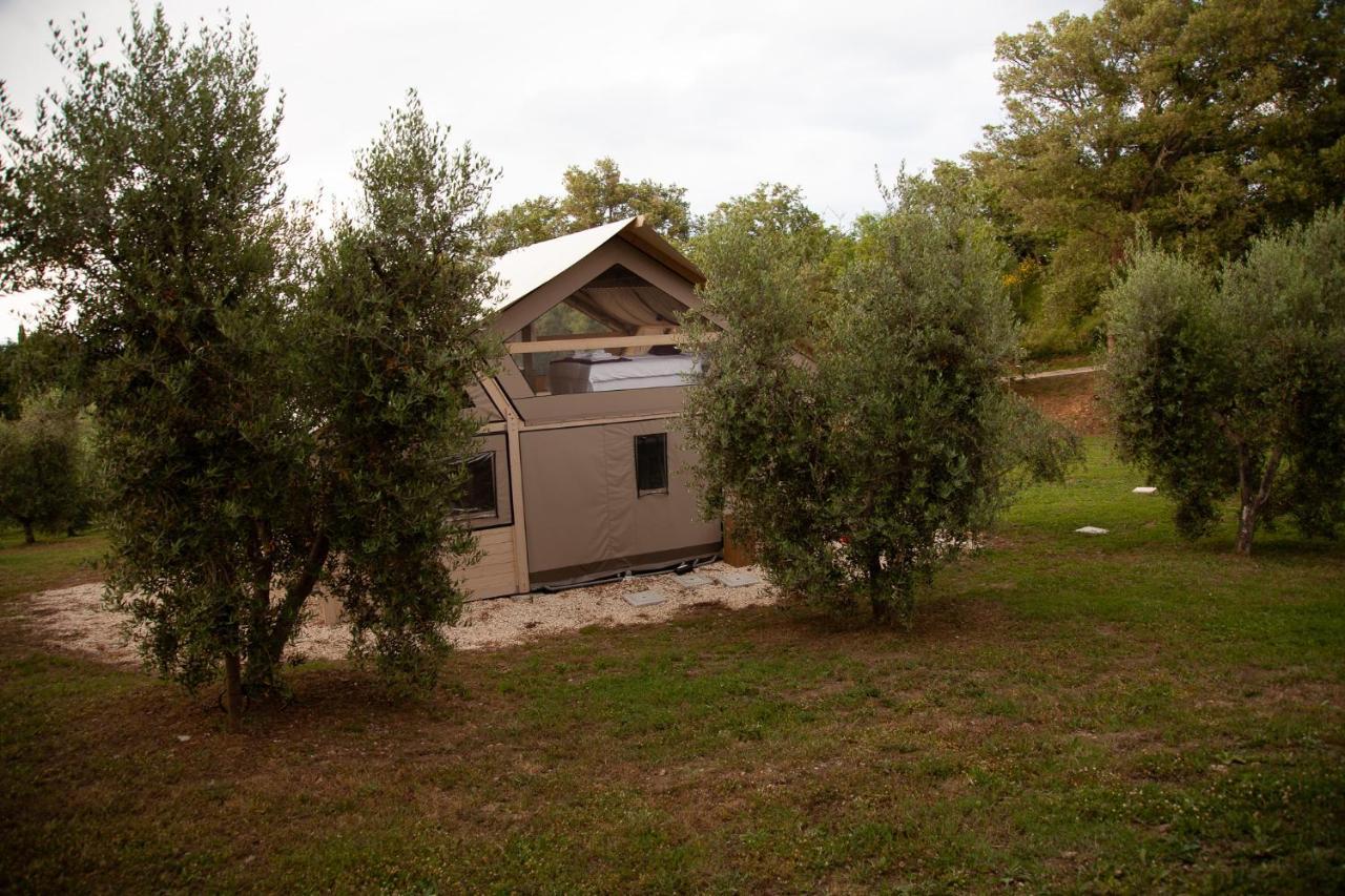Agriturismo Podere Prataccio Grosseto Extérieur photo